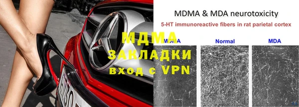 ПСИЛОЦИБИНОВЫЕ ГРИБЫ Алексеевка