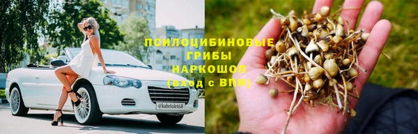 ПСИЛОЦИБИНОВЫЕ ГРИБЫ Алексеевка